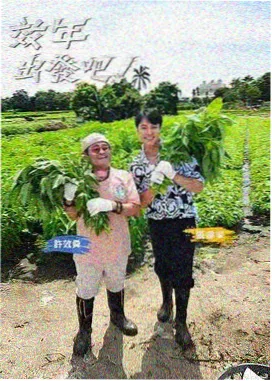 山间温泉一日的慢生活节目海报